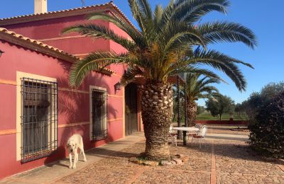 Landhus til salg Almagro, Almagro, Castilla-La Mancha, Fachada