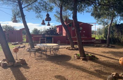 Landhus til salg Almagro, Almagro, Castilla-La Mancha, Ejendom