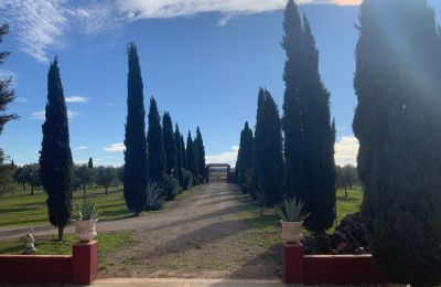 Landhus til salg Almagro, Almagro, Castilla-La Mancha, Indkørsel