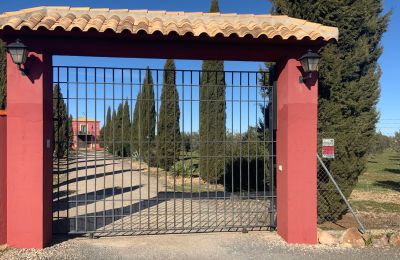 Landhus til salg Almagro, Almagro, Castilla-La Mancha, Indgang