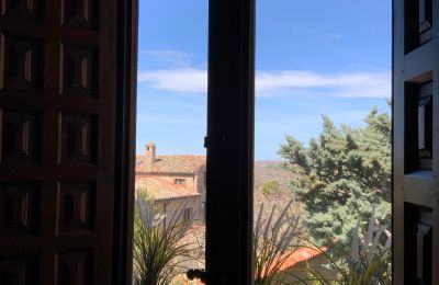 Slot til salg Soria, Medinaceli, Castilla y León, Udsigt