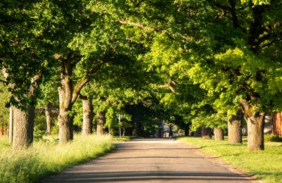 Herregård til salg Virķēni, Vidzeme, Billede 17/23