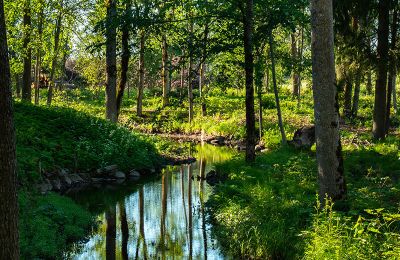 Herregård til salg Virķēni, Vidzeme, Billede 19/23