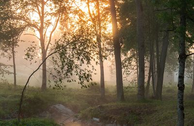 Herregård til salg Virķēni, Vidzeme, Billede 18/23