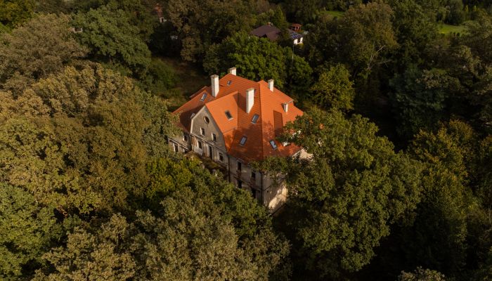 Slot til salg Wilków, województwo opolskie,  Polen