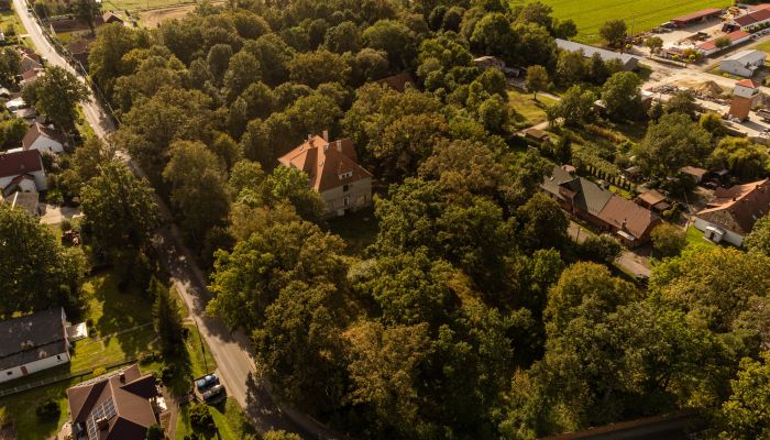  Wilków 2
