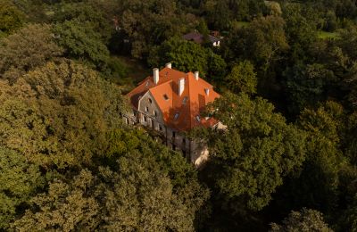 Schloss Wilków, Oppeln