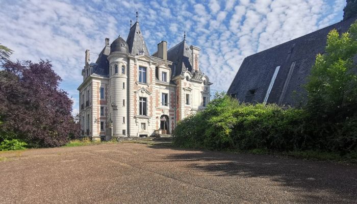 Slot til salg Le Mans, Pays de la Loire,  Frankrig