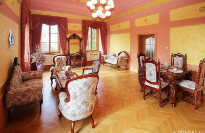 Slot til salg Tjekkiet, Salon