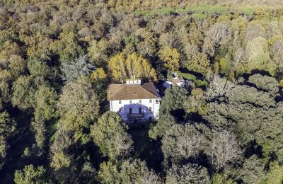 Historisk villa til salgs Pontedera, Toscana, Tomt