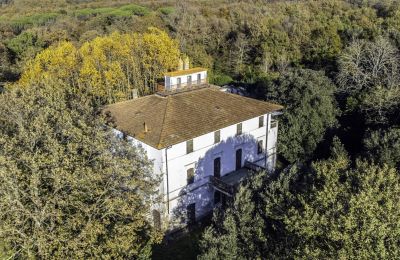 Historisk villa til salgs Pontedera, Toscana, Bilde 11/27