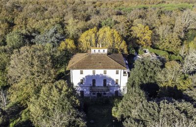 Historisk villa til salgs Pontedera, Toscana, Bilde 19/27