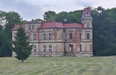 Herregård til salgs Pisarzowice, województwo dolnośląskie, Bilde 10/17