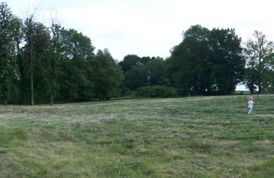 Herregård til salgs Pisarzowice, województwo dolnośląskie, Bilde 13/17