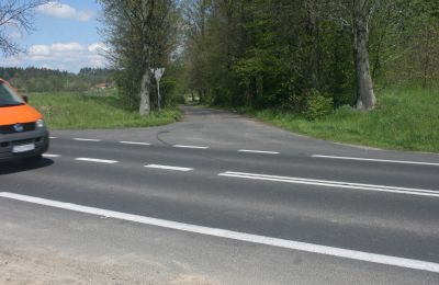Herregård til salgs Pisarzowice, województwo dolnośląskie, Bilde 16/17
