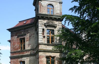 Herregård til salgs Pisarzowice, województwo dolnośląskie, Tårn