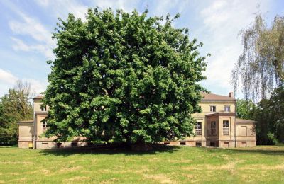 Herregård til salg Strzyżno, Pałac w Strzyżnie, województwo zachodniopomorskie, Forside