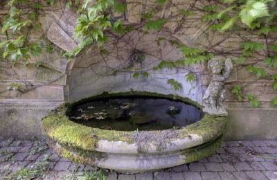 Historisk villa til salg Vernaison, Auvergne-Rhône-Alpes, Billede 17/29
