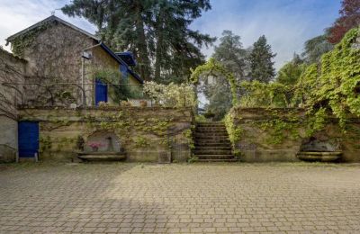 Historisk villa til salg Vernaison, Auvergne-Rhône-Alpes, Billede 18/29