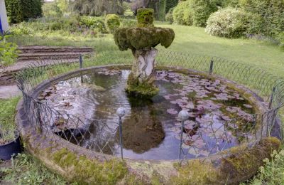Historisk villa til salg Vernaison, Auvergne-Rhône-Alpes, Billede 21/29