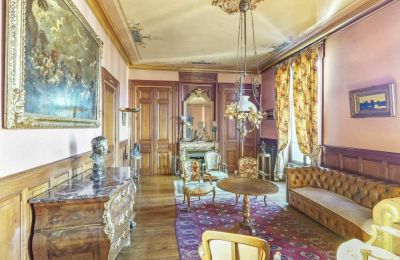 Historisk villa til salg Vernaison, Auvergne-Rhône-Alpes, Stueområde