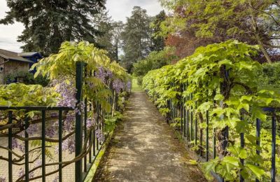 Historisk villa til salg Vernaison, Auvergne-Rhône-Alpes, Billede 22/29
