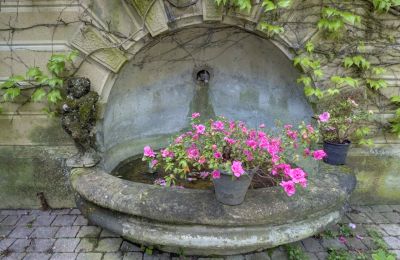 Historisk villa til salg Vernaison, Auvergne-Rhône-Alpes, Detaljer