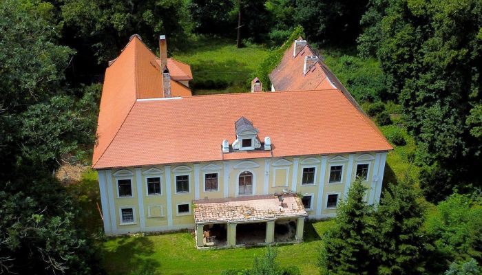 Schloss kaufen Plzeňský kraj, okres Klatovy, Klatovy,  Tschechische Republik