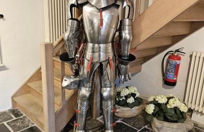 Slott til salgs Astenet, Wallonie, unser Ritter " Thor"