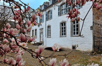 Slott til salgs Astenet, Wallonie, Herregård