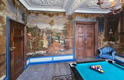 Slott til salgs Astenet, Wallonie, Billardtimmee /Tapetenzimmer "Salomon " 