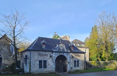 Slott til salgs Astenet, Wallonie, Bilde 2/27