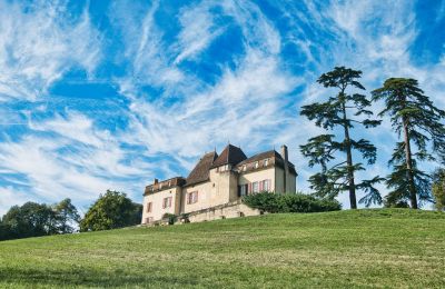 Slot til salg Monségur, Nouvelle-Aquitaine, Billede 22/22