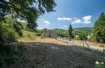 Landhus til salg Perugia, Umbria, Billede 12/14