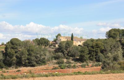 Herregård til salg Vila-rodona, Catalonien, Billede 4/37