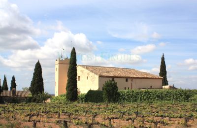 Herregård til salg Vila-rodona, Catalonien, Billede 3/37