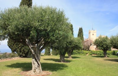 Herregård til salg Vila-rodona, Catalonien, Billede 2/37