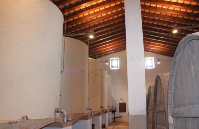 Herregård til salg Vila-rodona, Catalonien, Billede 16/37