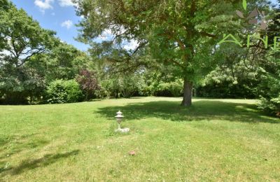 Historisk villa til salg Bussac-sur-Charente, Nouvelle-Aquitaine, Billede 26/33