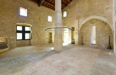 Slot til salg Uzès, Occitanie, Stor hal