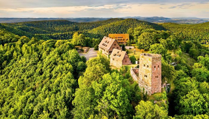 Burg kaufen 67330 Dossenheim-sur-Zinsel, Grand Est,  Frankreich