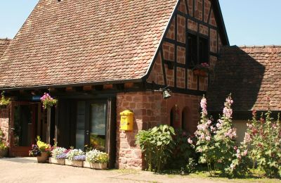 Borg til salg 67330 Dossenheim-sur-Zinsel, HUNEBOURG, Grand-Est, Billede 9/12