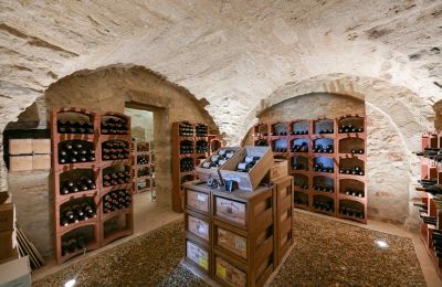 Herregård til salg Uzès, Occitanie, Vinkælder