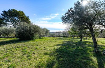 Landhus til salg Uzès, Occitanie, Billede 11/14