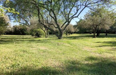 Landhus til salg Uzès, Occitanie, Billede 13/14