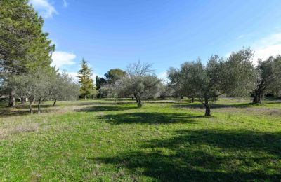 Landhus til salg Uzès, Occitanie, Billede 14/14