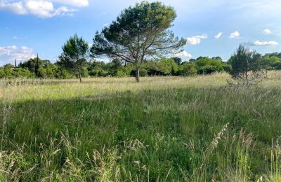Landhus til salg Uzès, Occitanie, Billede 7/14