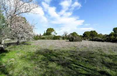 Landhus til salg Uzès, Occitanie, Ejendom