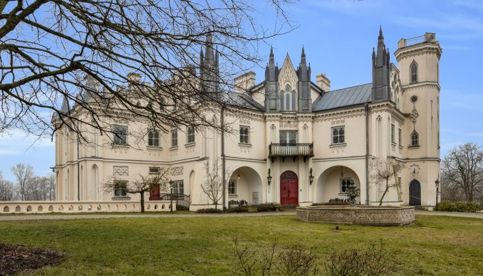 Pałac w Patrykozach - Neogotische Residenz in Masowien