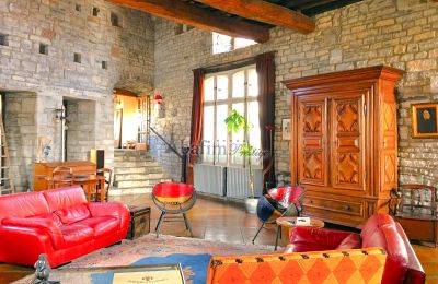 Historisk villa til salg Sauveterre-de-Béarn, Nouvelle-Aquitaine, Billede 8/20